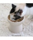 PET PARADISE 猫 フードボウル 陶器 《ホワイト /ベージュ》