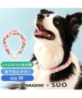 PET PARADISE ペットパラダイス 28℃クールリング SUO 《いちご柄》 〔Ｍ〕 中型犬