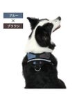 PET PARADISE ヘッドインハーネス  【Ｍ】オレンジ / ブルー 【中型犬 大型犬】