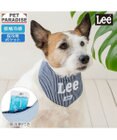 PET PARADISE Lee ヒッコリー ロゴ クールバンダナ 小型犬
