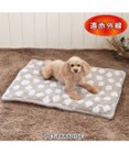 PET PARADISE ペットパラダイス 遠赤外線 ボアマット 《お花柄》角型 小型犬