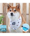 PET PARADISE J.PRESS ヨット柄 クールネック バンダナ 保冷剤付き SM【中型犬】
