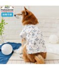 PET PARADISE ペットパラダイス 甚平 《ちどり柄》 中型犬 大型犬