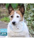 PET PARADISE クールネック バンダナ 《シフォン襟／しろくま／ボタニカル》 保冷剤付き 【小型犬】