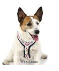 PET PARADISE ディズニー アクティブハーネス 【ＳＳ】 小型犬