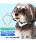 PET PARADISE ペットパラダイス 28℃クールリング SUO 《くま柄》 〔Ｓ〕 小型犬