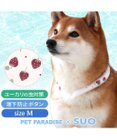 PET PARADISE ペットパラダイス 28℃クールリング 《いちご》 Ｍ 大型犬