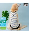 PET PARADISE Lee エコメイド 彩ボーダー タンクトップ 中型犬 大型犬