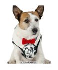 PET PARADISE ディズニー ミッキーマウス＆プルート ベストハーネス 《モノクロ》 4S / 3S