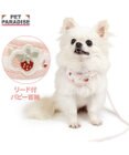 PET PARADISE ペットパラダイス リード付き首輪 《いちご》 小型犬