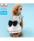 ディズニー ミニーマウス クール ワンピース 《ドット柄》 小型犬