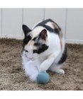 PET PARADISE ペットパラダイス 猫 羊毛ボール 羽付き 【単品】