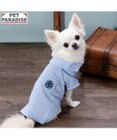 PET PARADISE J.PRESS カノコ スキッパー ポロシャツ 小型犬