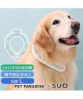 PET PARADISE ペットパラダイス 28℃クールリング SUO 《くま柄》 〔Ｌ〕 大型犬