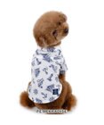 PET PARADISE J.PRESS マリンシャツ  《 ホワイト》 小型犬