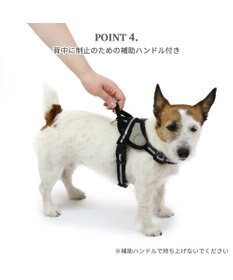 PET PARADISE ヘッドインハーネス 【Ｓ】 オレンジ / ブルー【  小型犬】