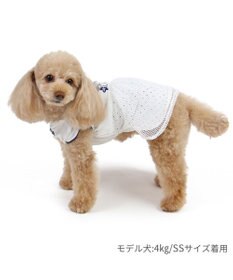 PET PARADISE ペットパラダイス エコメイド 天竺 刺繍 ワンピース 小型犬