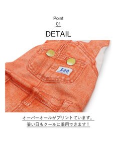 PET PARADISE Ｌｅｅ つなぎ風  ロンパース 【小型犬】《ブルー/オレンジ》クールマックスエコメイド