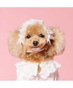 PET PARADISE cherircouture ヘッドドレス ４Ｓ～３Ｓ / ＳＳ～Ｓ
