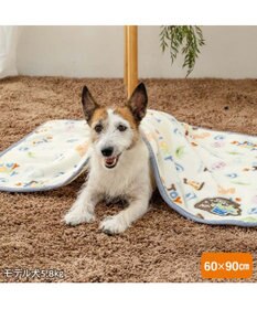 PET PARADISE ディズニー トイ・ストーリー ボア ブランケット 《総柄》