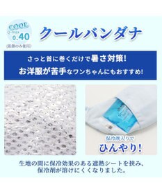 PET PARADISE ペットパラダイス くまちゃん クールバンダナ 中型犬