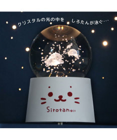 ぼくはしろたん CD しろたん Mother garden しろたん音頭 Amazon.co.jp: ぼくはしろたん CD しろたん Mother garden