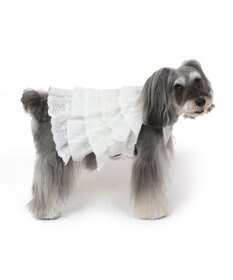 犬服　白いワンピース　ペットワンピース　犬ワンピース 犬の服 犬 フリルワンピース白 【小型犬】 / PET PARADISE