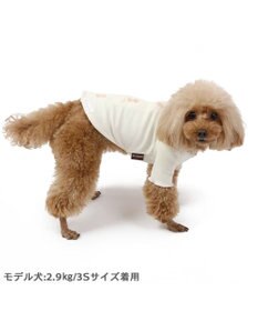 PET PARADISE 花柄 フリル 背中開き Tシャツ 小型犬