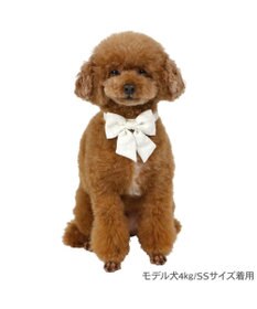 PET PARADISE ペットパラダイス 花柄りぼん 首輪 Ｓ 小型犬