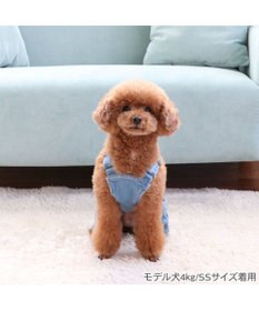 PET PARADISE Ｌｅｅ ペイント デニム オーバーオール 小型犬