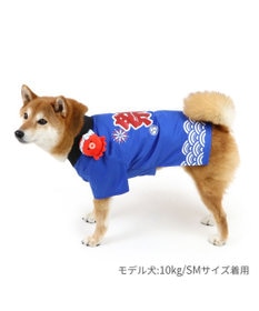ペットパラダイス お祭り 法被 《タコさん》 中型犬 大型犬