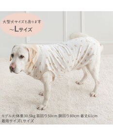 PET PARADISE ペットパラダイス くまさん はじめてのタンクトップ 《おやすみ柄》 中型犬 大型犬