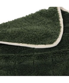 PET PARADISE ペットパラダイス ブランケット 《オニオン柄》