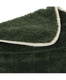 PET PARADISE ペットパラダイス ブランケット 《オニオン柄》