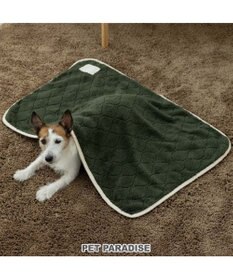 PET PARADISE ペットパラダイス ブランケット 《オニオン柄》