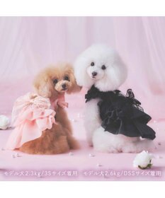 PET PARADISE cherircouture 接触冷感リボンワンピース 《ブラック》 小型犬