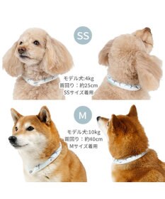 PET PARADISE ペットパラダイス ２８℃ クールリング Ｍ 《サメ柄》