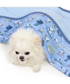 PET PARADISE スヌーピー クールケット 《バケーション柄》 小型犬