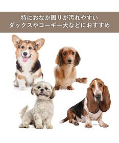 PET PARADISE スヌーピー レイン エプロン 小型犬