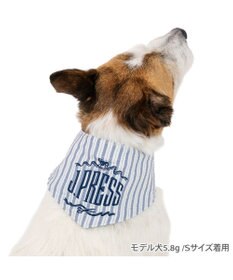 PET PARADISE J.PRESS クールバンダナ 《ストライプ柄》 小型犬