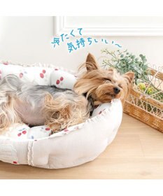PET PARADISE ペットパラダイス クールカドラー 丸型 《苺花柄》 Ｓ