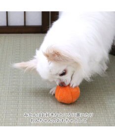 PET PARADISE ペットパラダイス こたつハウス 《お花柄》 小型犬 40cm