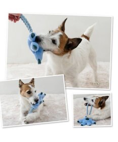 PET PARADISE ディズニー スティッチ 手のロープトイ