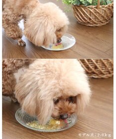 PET PARADISE 【賞味期限が12/29のため 半額】りんごゼリー 10個入り 国産