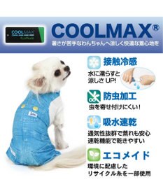 PET PARADISE Ｌｅｅ つなぎ風  ロンパース 【小型犬】《ブルー/オレンジ》クールマックスエコメイド