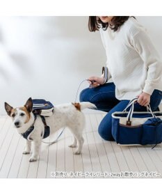 PET PARADISE ペットパラダイス ライン入りリュック付き ハーネス ３Ｓ 小型犬