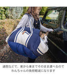 PET PARADISE　ペットパラダイス　キャリー　王冠柄　Lサイズ ペットパラダイス キルティング キャリーバッグ 超小型犬 S 約