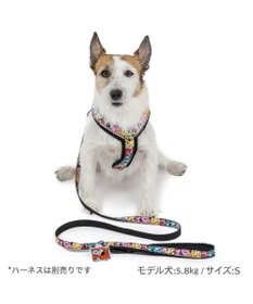 PET PARADISE スヌーピー 75周年 リード 小型犬 ～３S