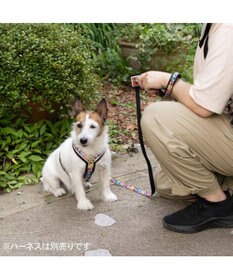 PET PARADISE スヌーピー 75周年 リード 小型犬 ～３S