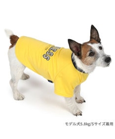 PET PARADISE J.PRESS カレッジ Ｔシャツ 小型犬